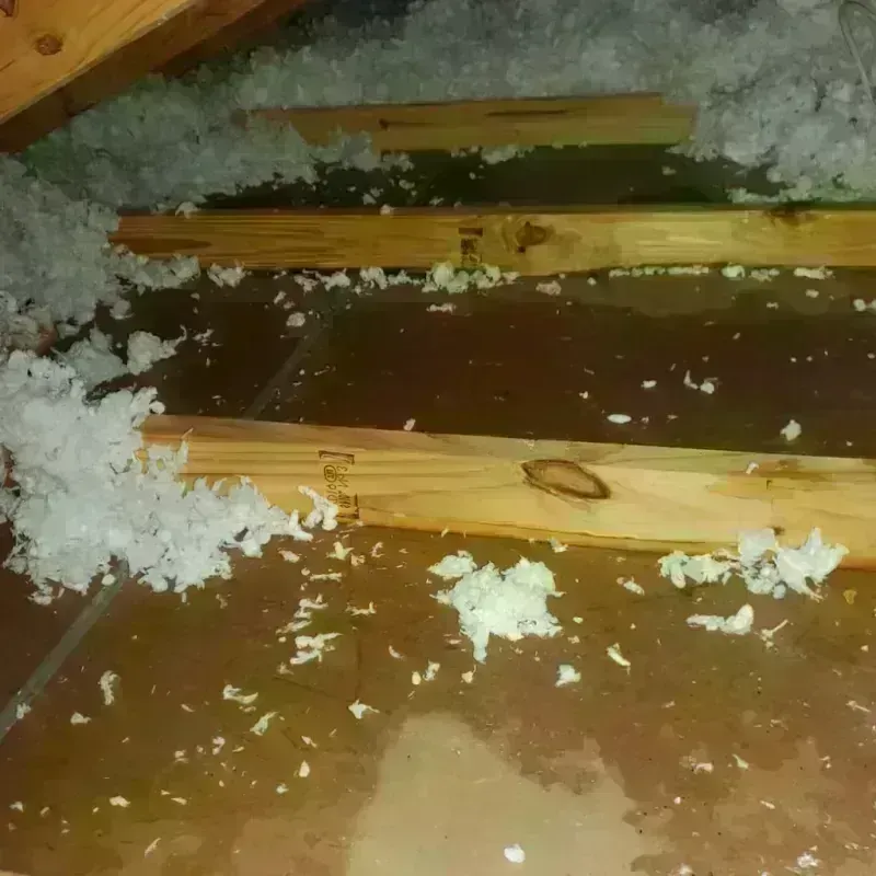 Attic Water Damage in Grapeland, TX