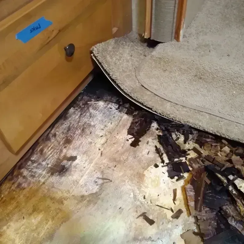 Wood Floor Water Damage in Grapeland, TX